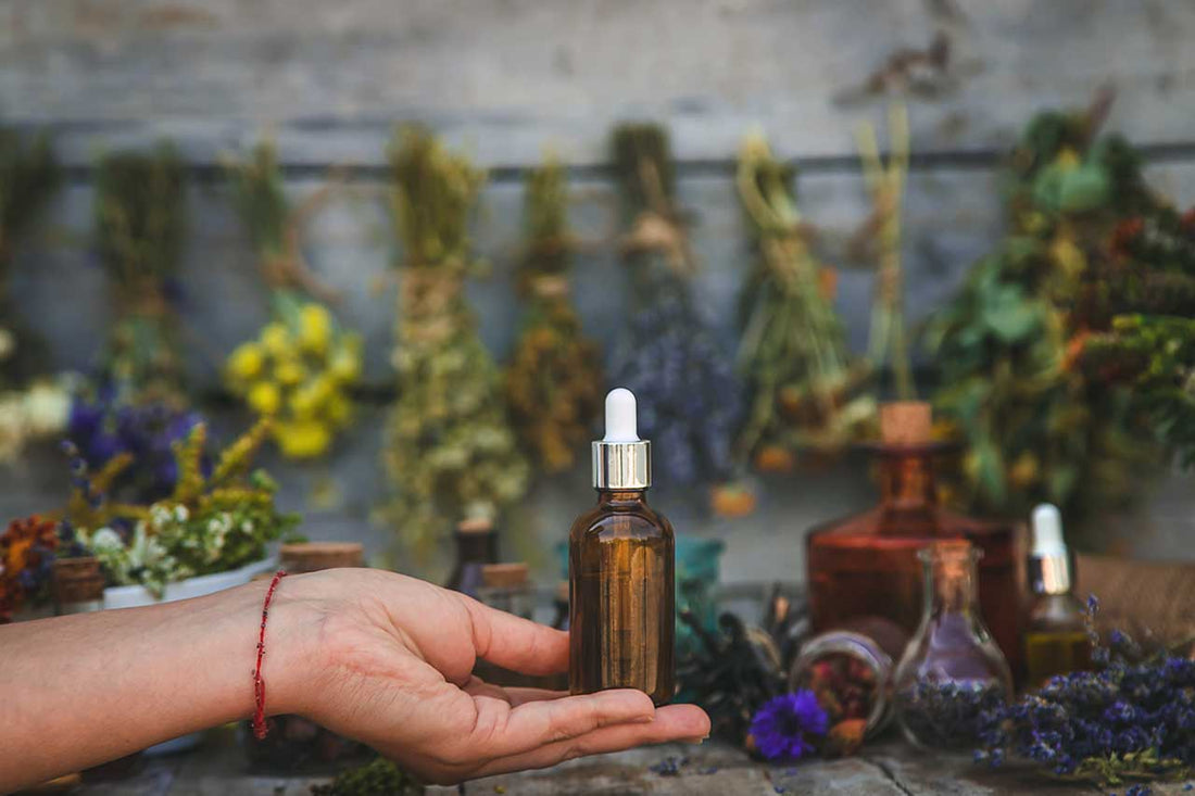 9 Scents Fleas Hate: Here’s What Works
