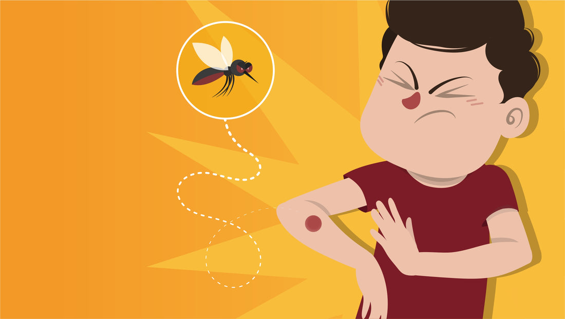 Vitamin B1 or B12 For Remedy Against Mosquitoes