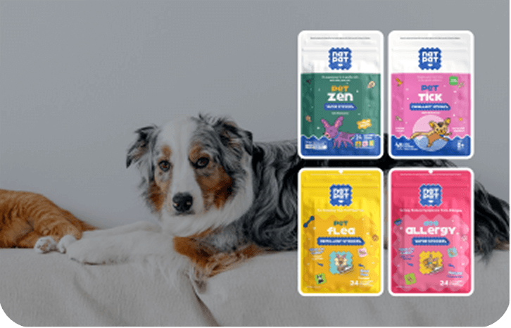 Pet Care