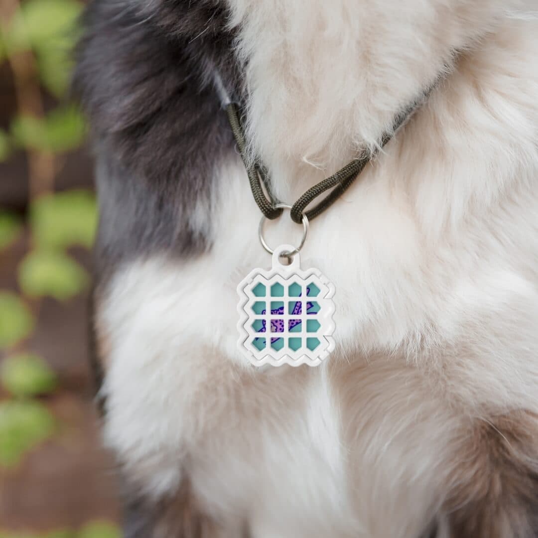 Pet Collar Holder