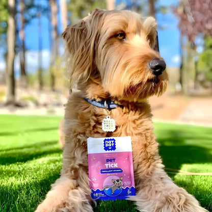 The Complete Pet Protector Kit