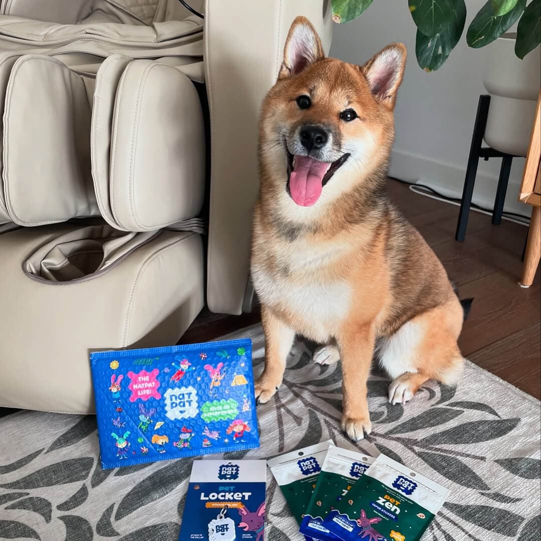 The Complete Pet Protector Kit
